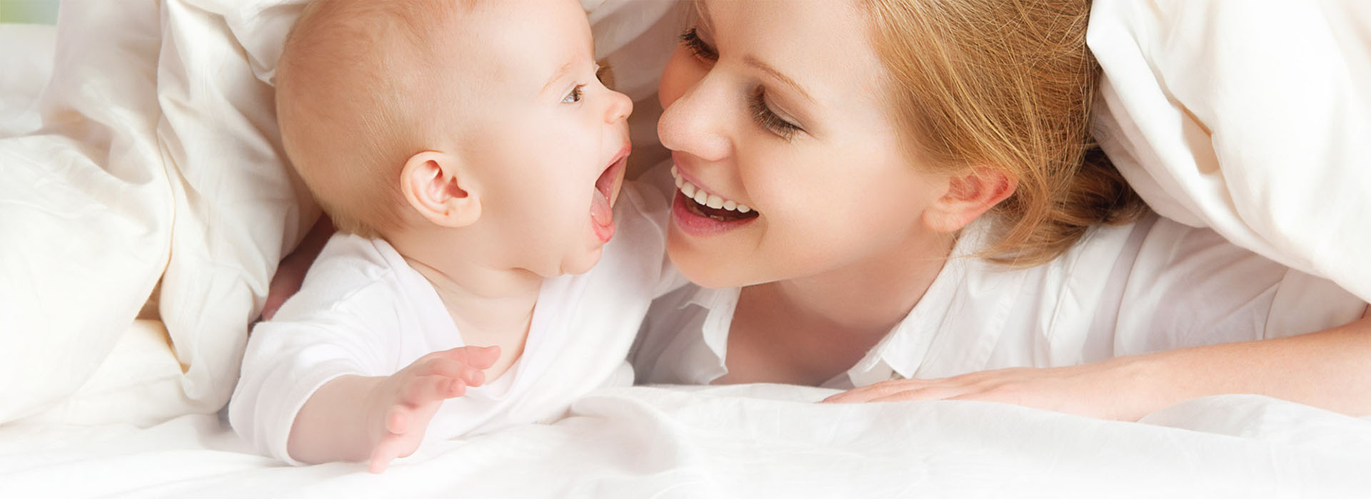 Egg Vitrification Egg Vitrification