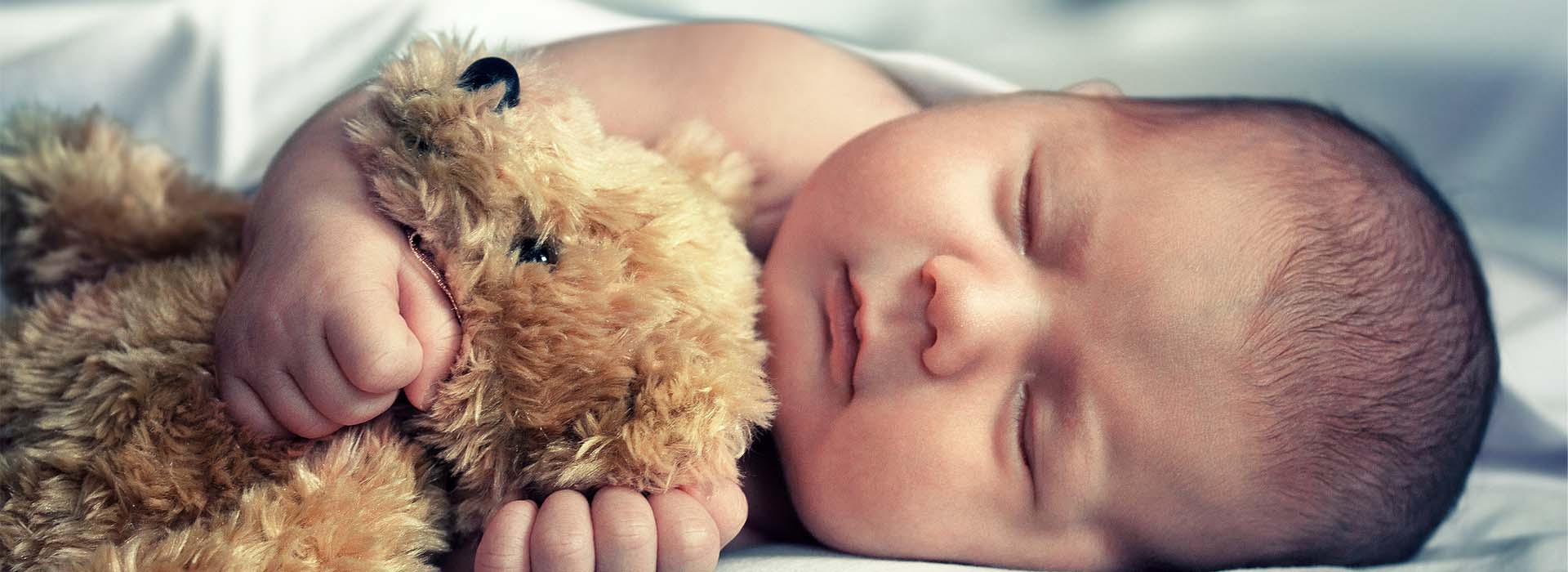 Embryo Donor Embryo Donor