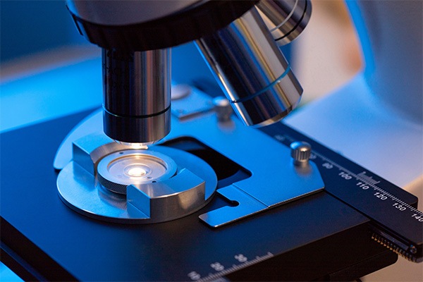 How is sperm counted? How is sperm counted?