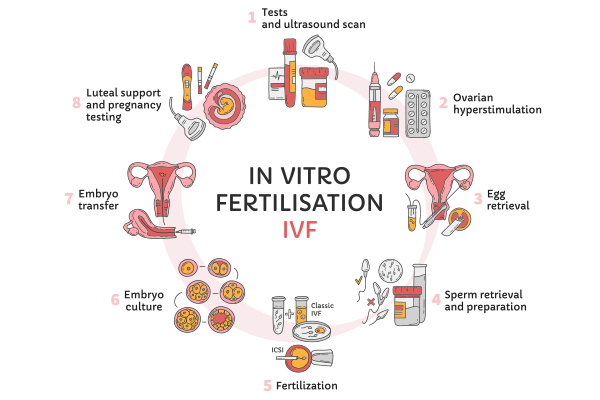 male fertility and IVF