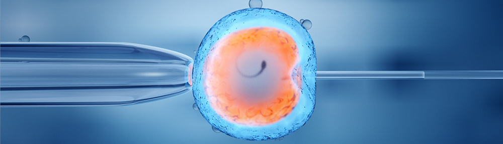 Embryology Laboratory