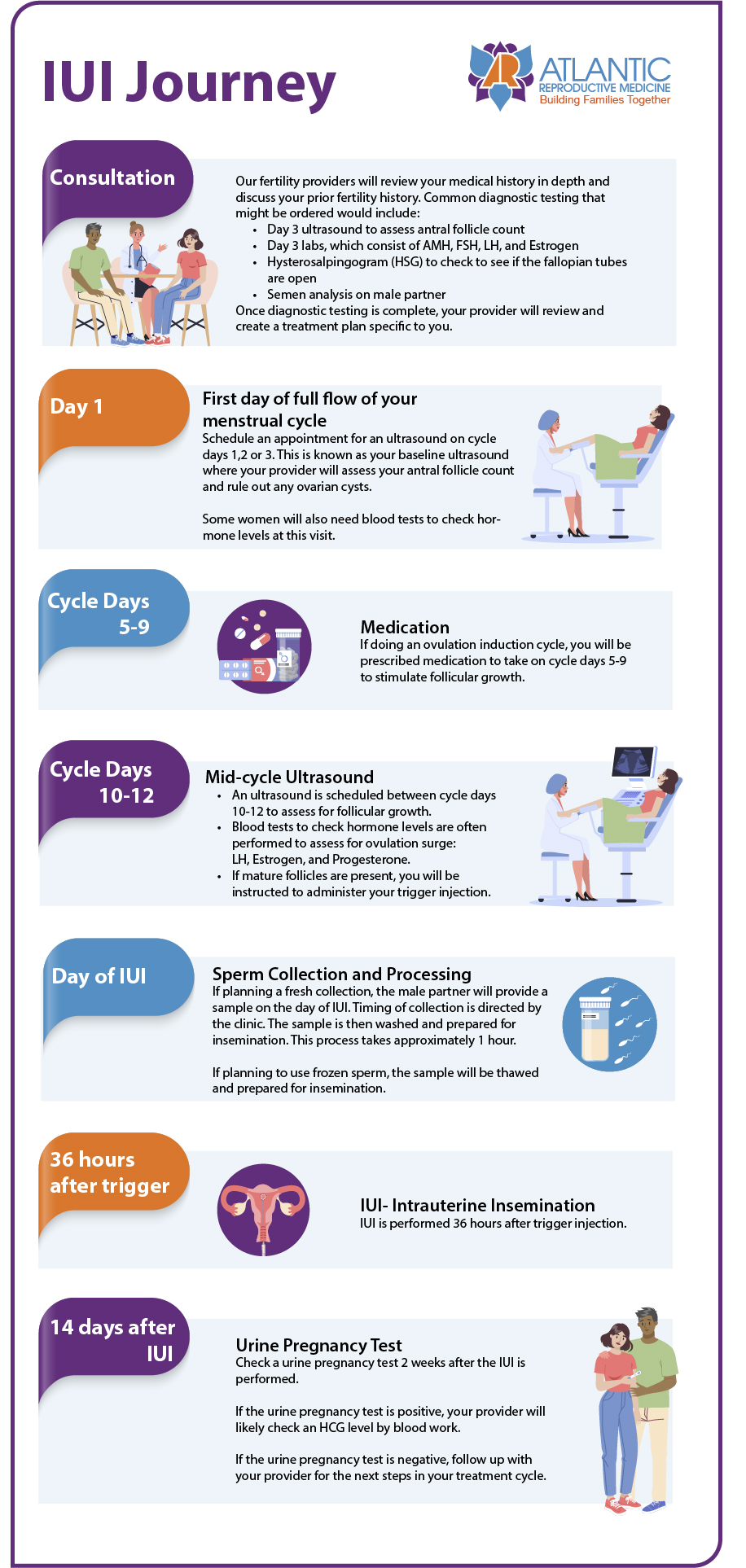 IUI Chart