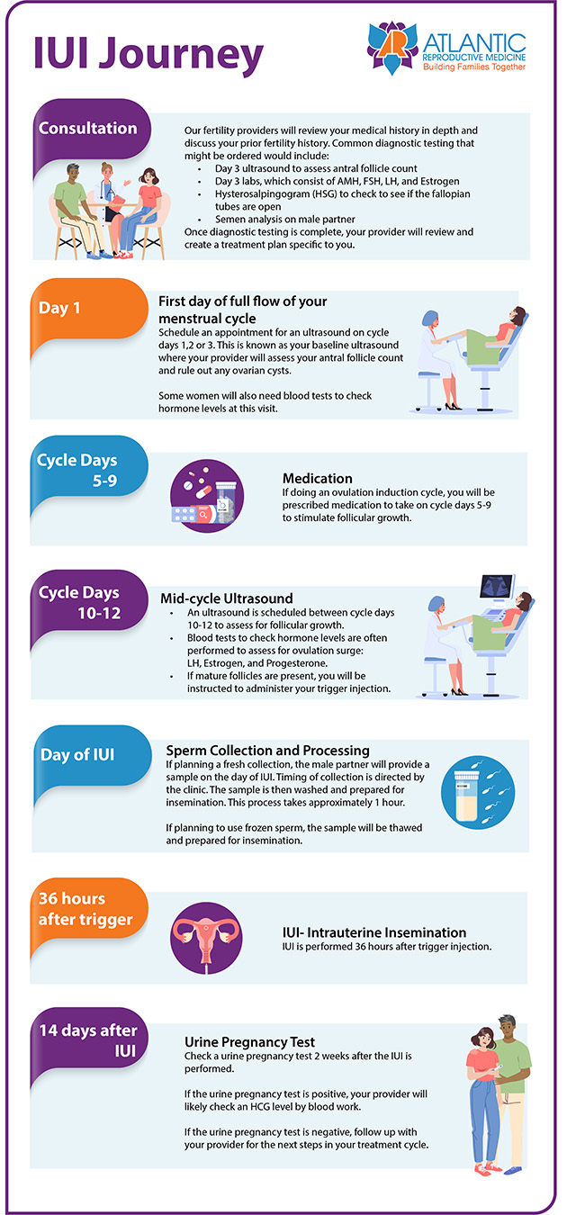 IUI Chart