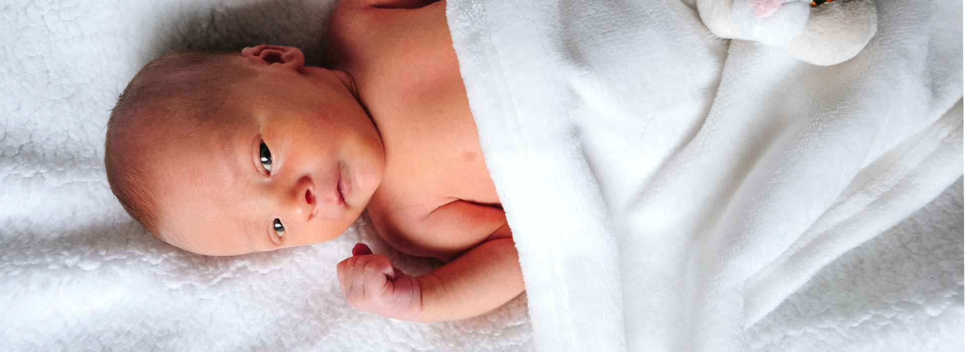 LGBT Family Fertility Options-header LGBT Family Fertility Options