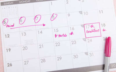 Making and Following a Fertility Calendar