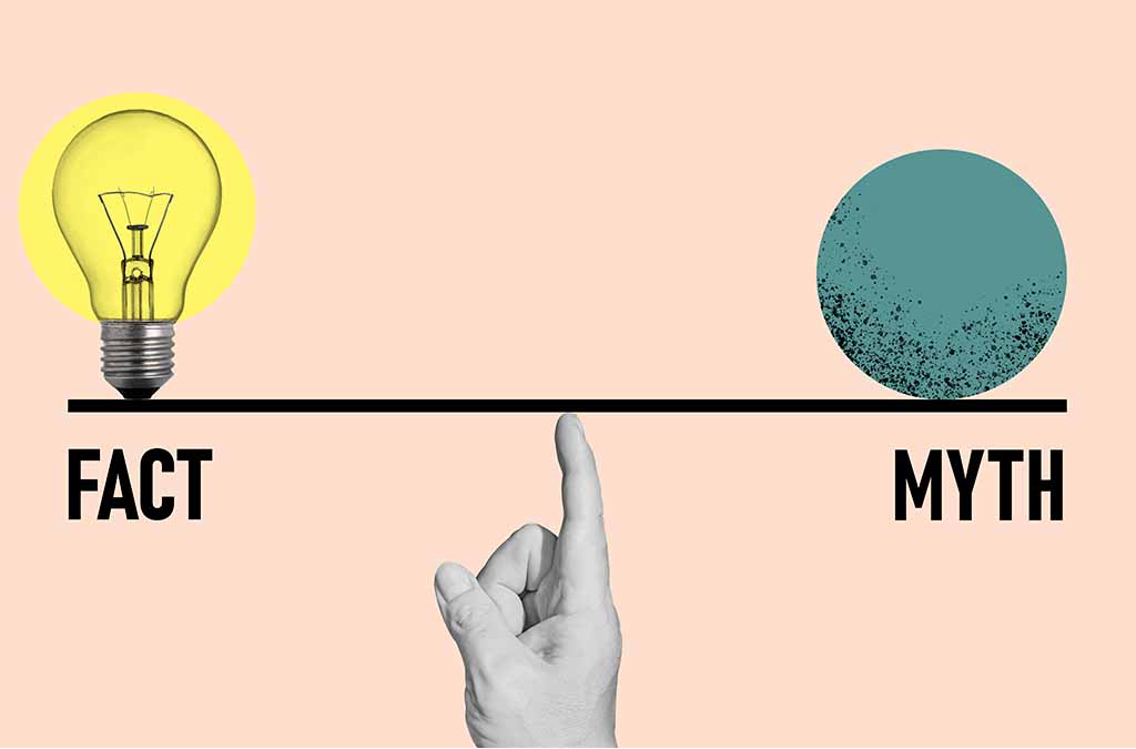 vasectomy fact versus myth scale